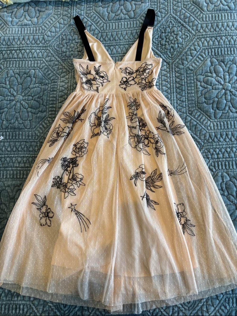 Express Tulle Dress with Black Floral Embroidery - Blush - Picture 3 of 6